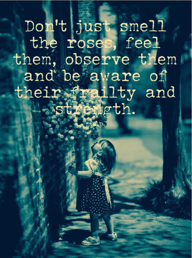 Bards and Tales Don't just smell the roses