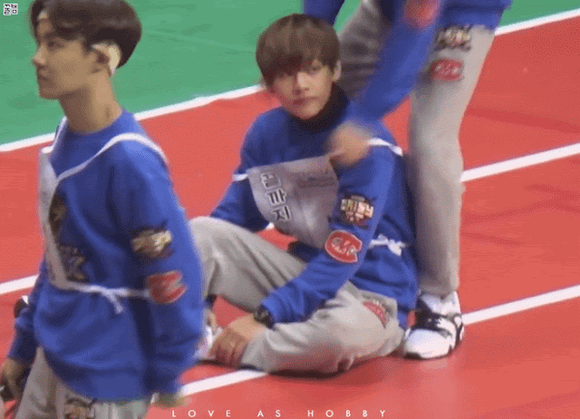 AfraidMistyAfricanharrierhawk-size_restr