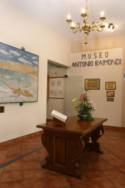 Museo Antonio Raimondi