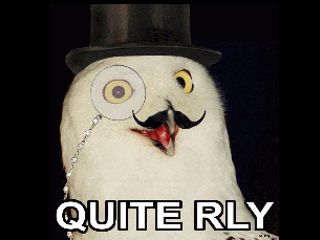 quite-really.jpg