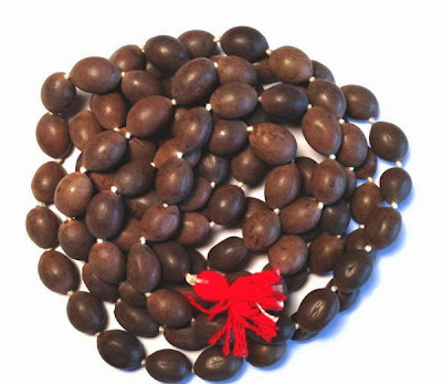 Jyotish upay of Gomati chakra, Kali haldi, Laghu nariyal, Dakshinavarti Shankh, Kamal Gatta, Hakik, Moti Shankh, Ekakshi nariyal in Hindi 5. कमलगट्टा (Kamalgatta)