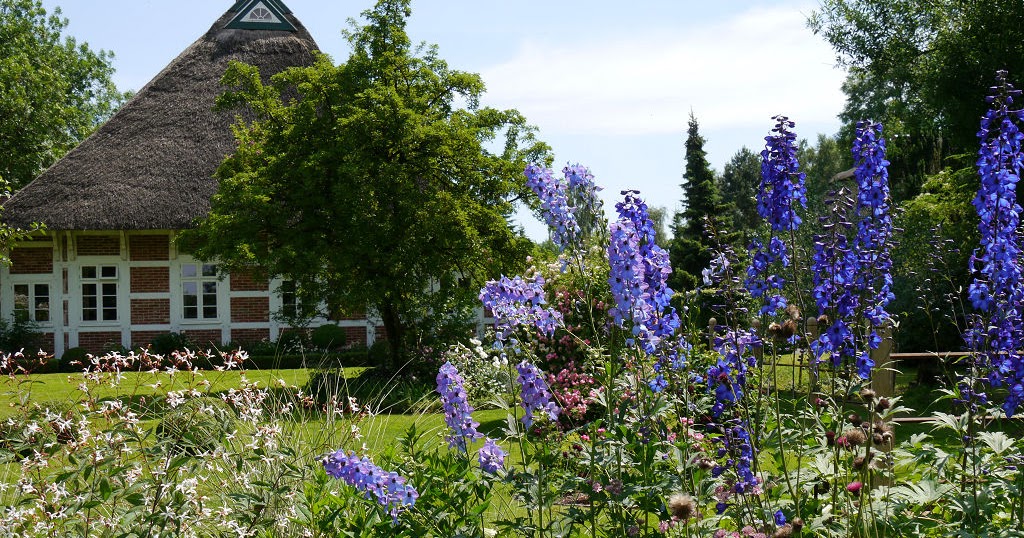 GartenImpressionen GARTEN MOORRIEM SOMMER IN DER WESERMARSCH
