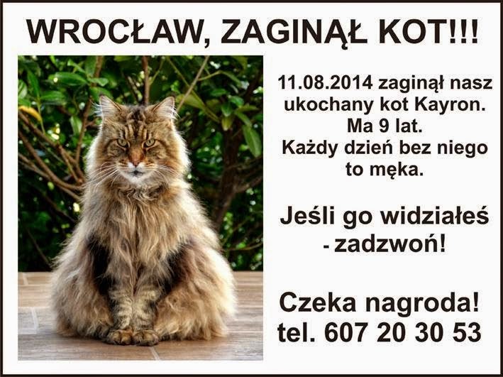 Jak Napisać Ogłoszenie O Zaginięciu Kota