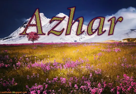 azhar munir google