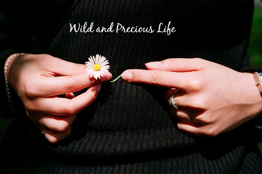 Wild and Precious Life