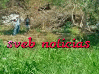 Hallan 3 ejecutados en los límites de Oluta y Sayula de Alemán Veracruz