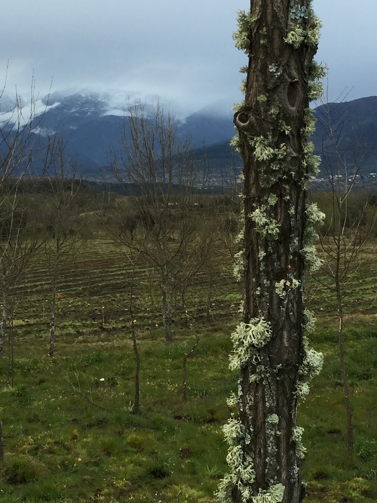 Arturo Gonzalo Aizpiri LA MEMORIA DE VAÉLICO EN POSTOLOBOSO (Tras las