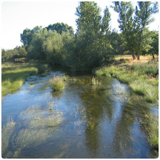 Río Tuerto en León. Castilla y León.
