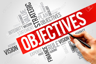 Business Objectives 