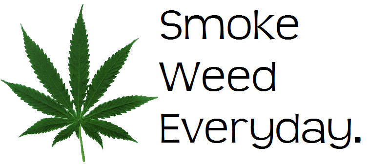 Песню smoke everyday. Снуп дог смок. Smoke weed everyday sound. Песню smoke everyday. Smoke weed everyday.