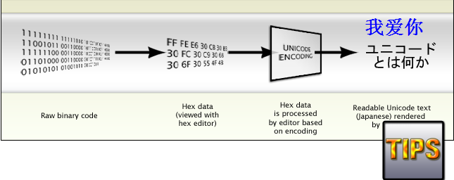 Introduce Tool support check "File Encoding" - Webzone Tech Tips - Zidane