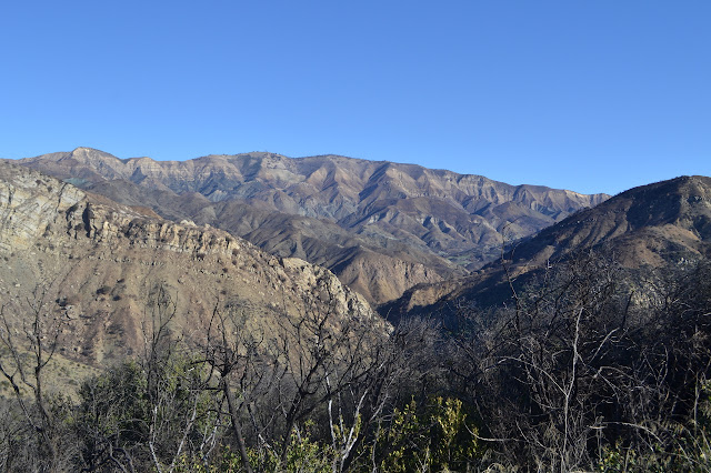 Oso Canyon and Little Pine Mountain