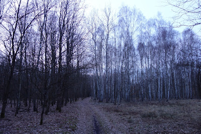 szlak niebieski z Zaborowa Leśnego do Małego Truskawia