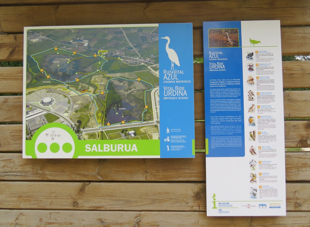 BIRDINGLEON Parque de Salburua, un ejemplo a seguir.