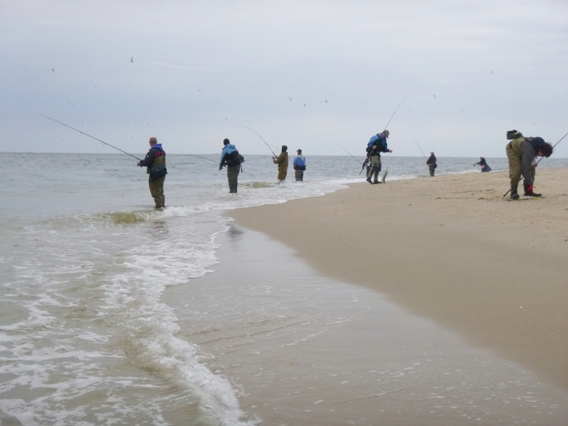 Going To The Water Sandy Hook NJ