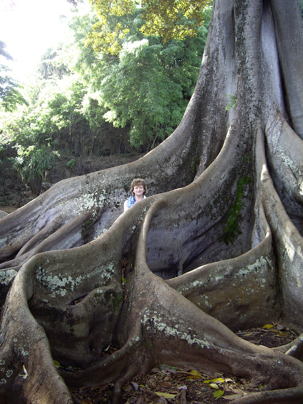 PS Whimsy Behind the Brush Trees?