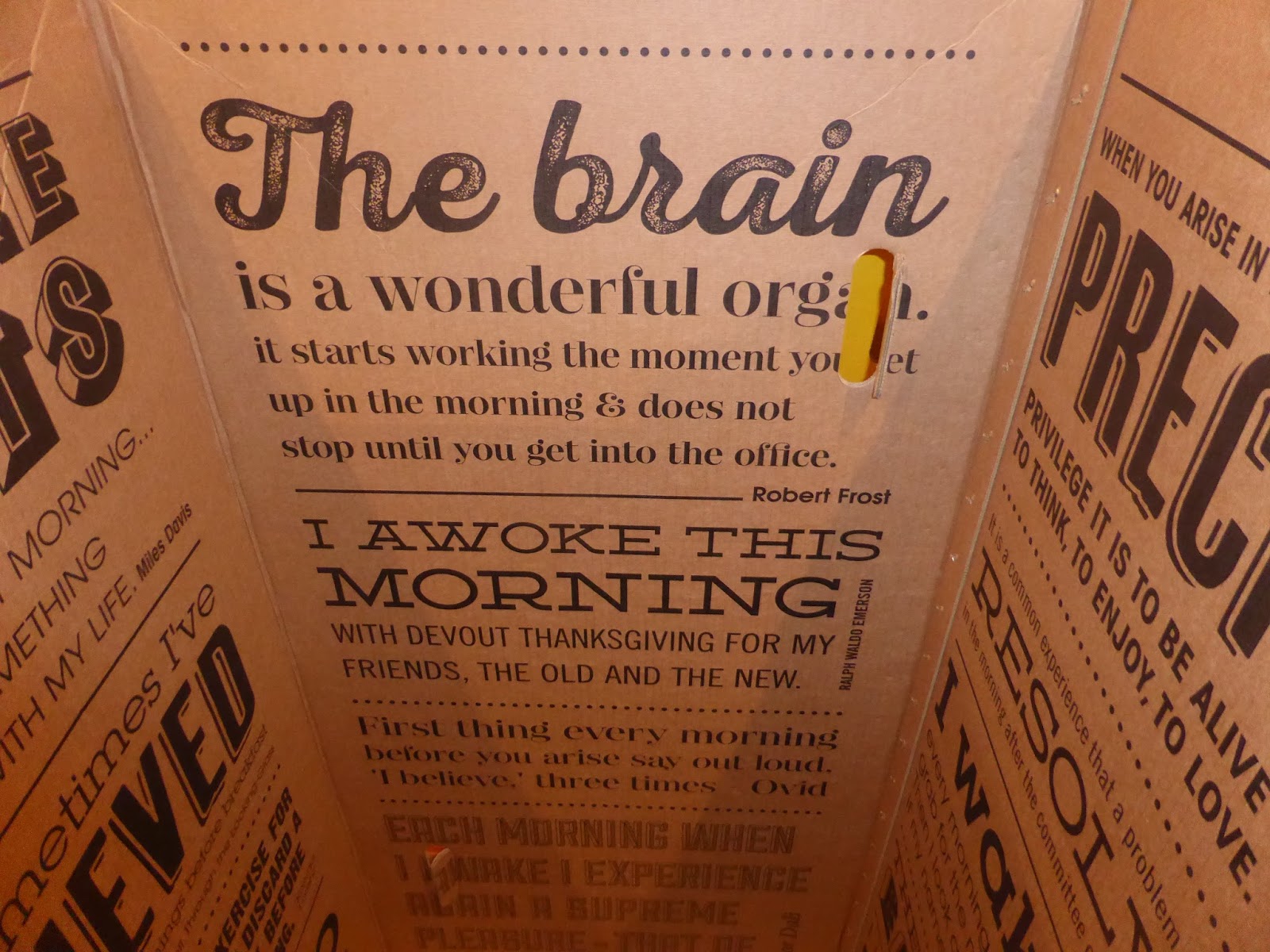 Eve Mattress Unboxing (and Review) Steph's Two Girls