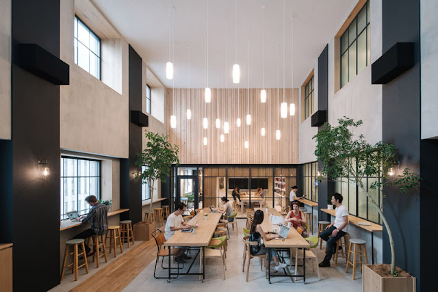 Thiết kế Văn phòng đẹp ở Tokyo thiết kế ấm áp như một căn nhà
