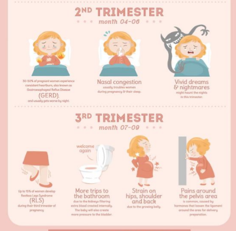 The Best Healthy Pregnancy Blog Healthy Sleeping Positions