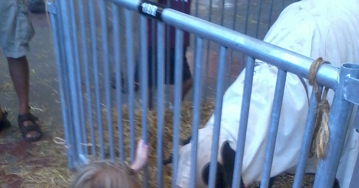 Mommy s Nest Our State Fair Is A Great State Fair mommy-s-nest-our-state-fair-is-a-great-state-fair