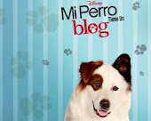Mi perro tiene un blog