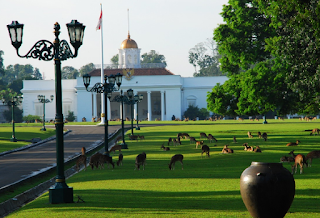 Inilah Salah Satu Keunggulan Kebun Raya Bogor