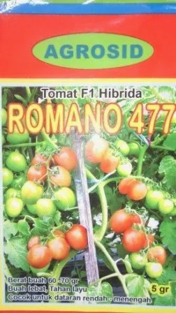 Benih, romano, Tomat Romano,tomat, tahan virus,kuning, keriting, unggul, dataran rendah, tinggi, petani, Tomat Romano murah, Agrosid