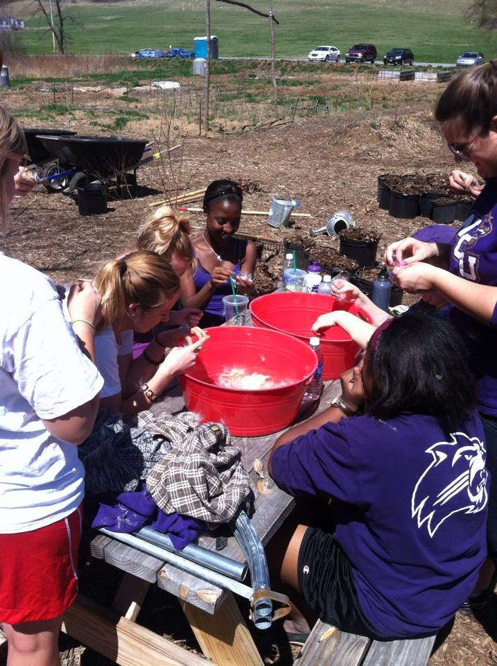 Cullowhee Community Garden