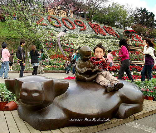 台北陽明山國家公園花季