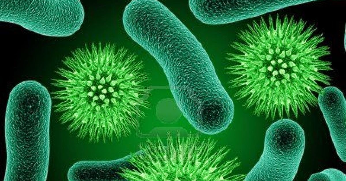 Dunia Mikrobiologi Tanaman: Jalinan Harmonis yang Menopang Kehidupan