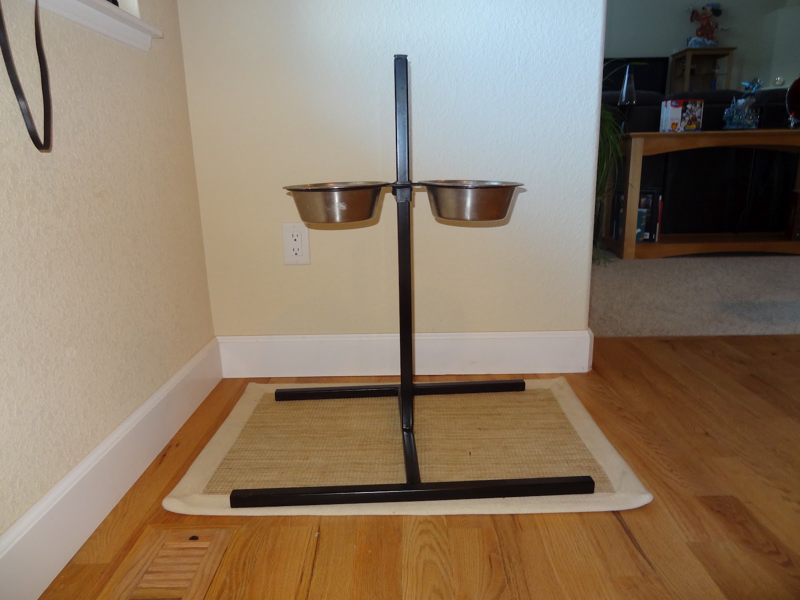 Thoughts from the Ridge Great Dane Elevated Feeding Dish