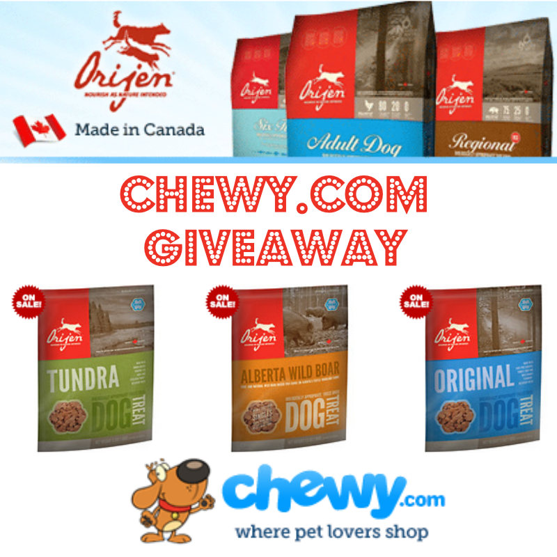Chewy Pet Food Canada Stella & Chewy Freeze Dried Premium Cat Food