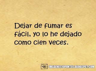 frases locas pero ciertas frases locas pero ciertas