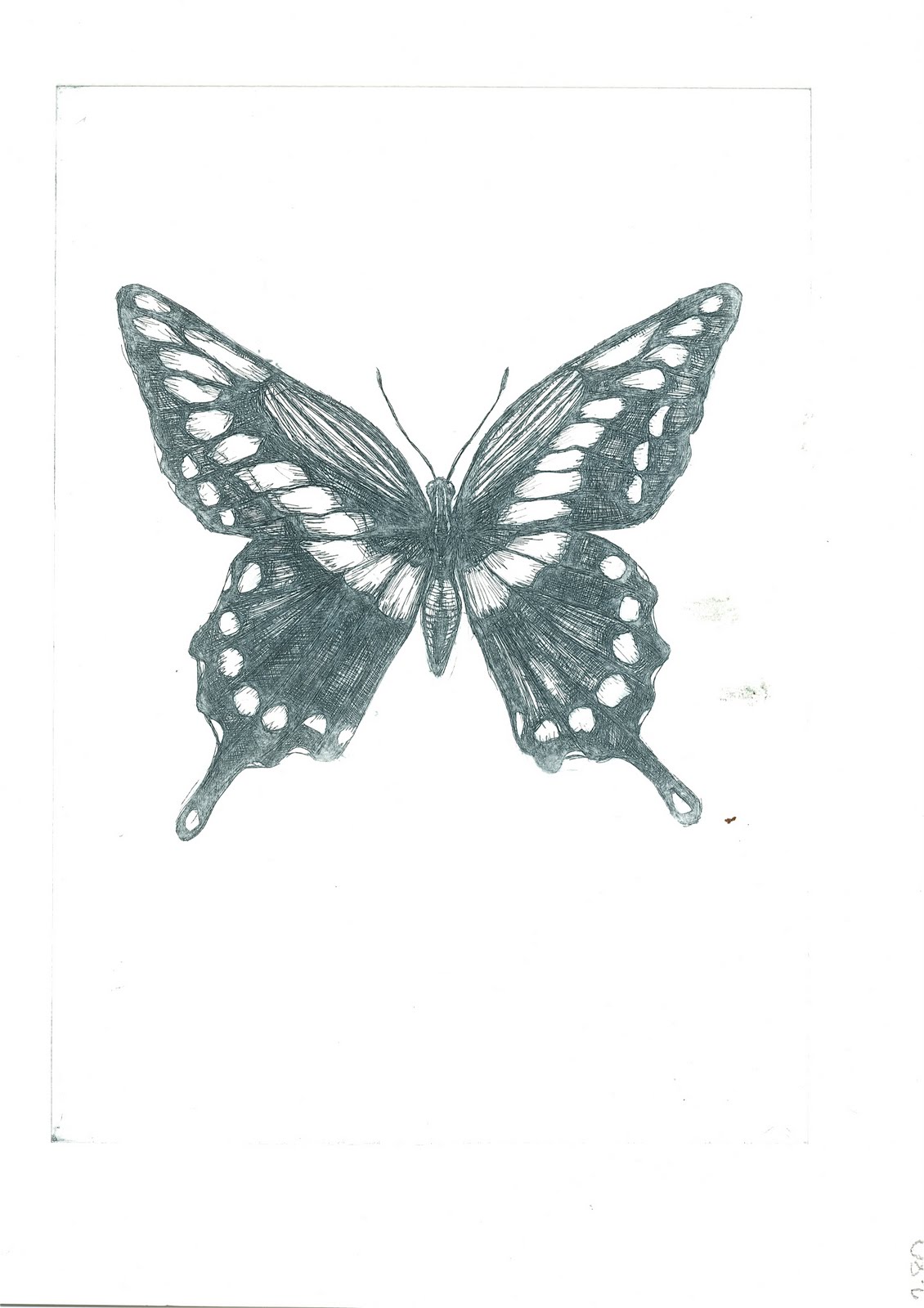 . Butterfly Etching