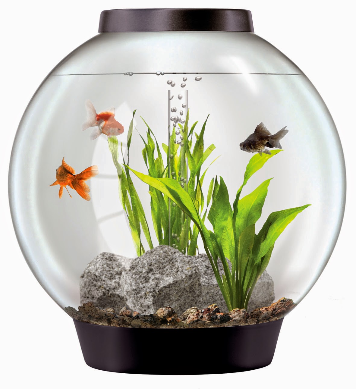 Akuarium Hias Murah Aquarium Bulat jpg (1181x1291)