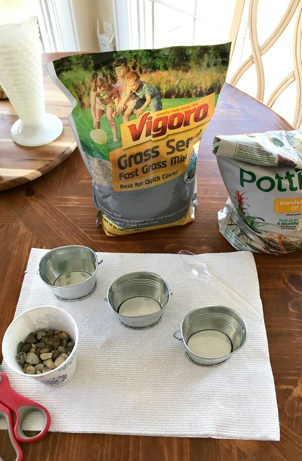 Supplies For Planting Grass Indoors