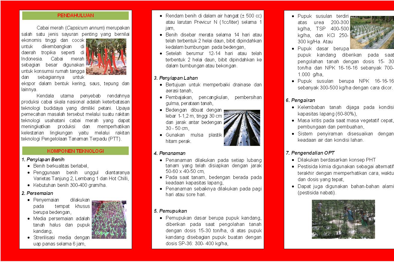 Pertanian Tanaman Pangan dan Peternakan Nunukan Aneka