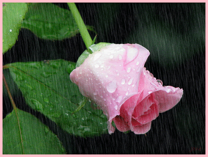 chuva+10.gif