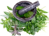 Artikel Obat Kanker Serviks Herbal Artikel Obat Kanker Serviks Herbal