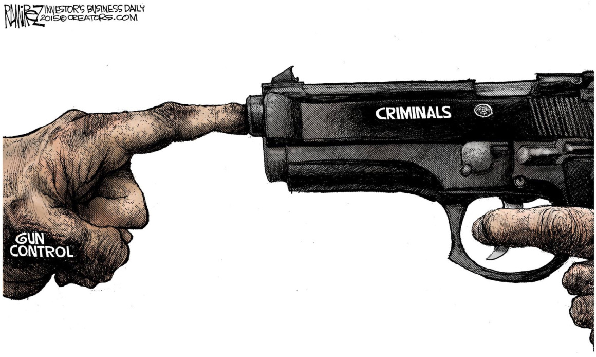 Proof Positive A Primer on Sense" Gun Laws