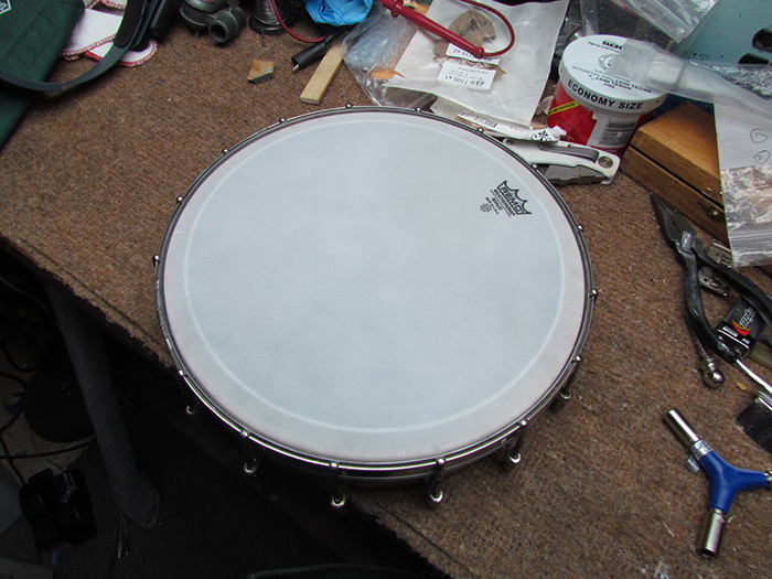 Princess Banjo-Mandolin Reassembly, Pt. 1 Crawls Backward (When Alarmed)