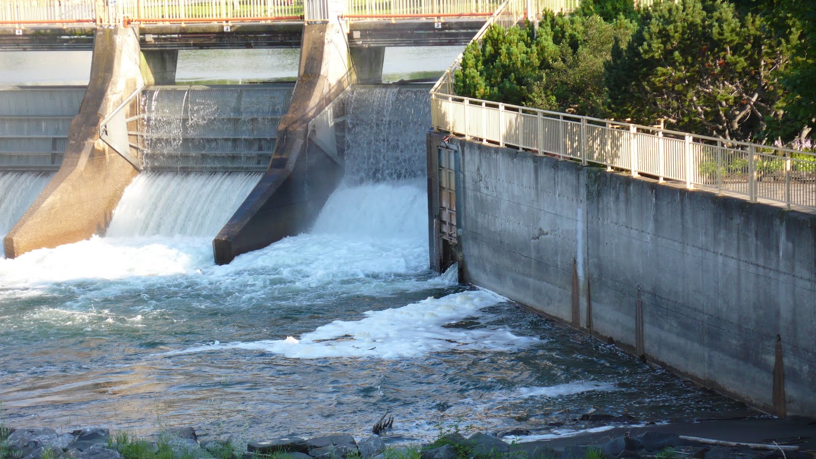 Crumble et Salidou Canada nous voilà ! jour 5 le saumon, le nouvel