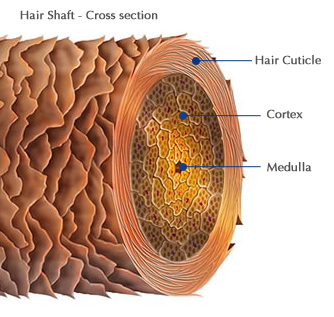 I Am Rallygirl Grow Natural Hair Retain Length 4 Ways To Keep