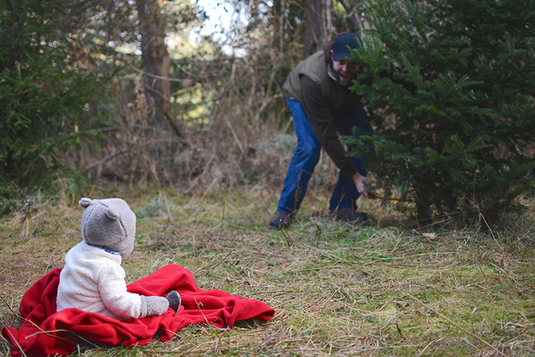 2017 Christmas Tree Hunting | My Darling Days 2017 Christmas Tree Hunting | My Darling Days