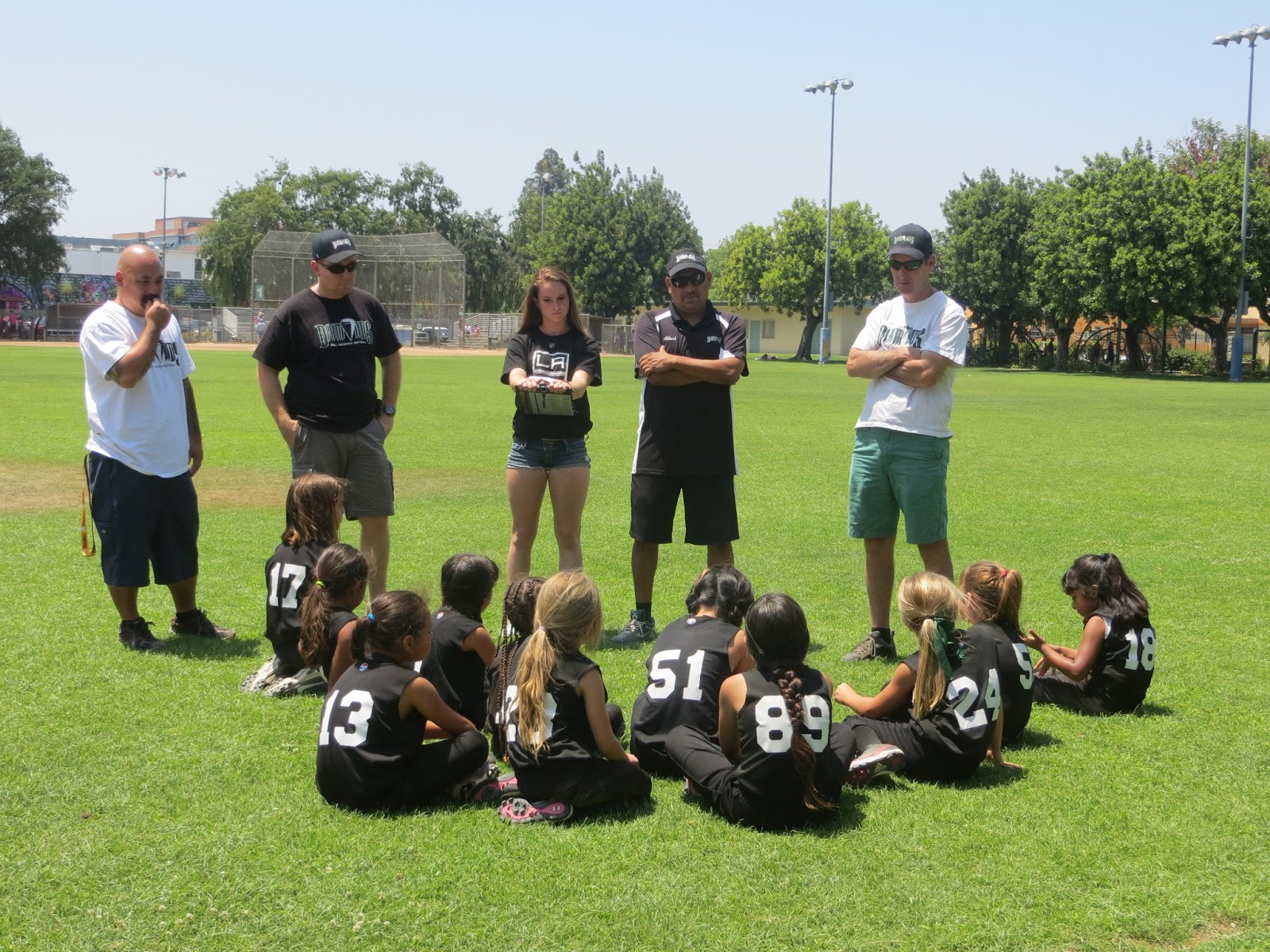 Diamonds Fastpitch Softball DIAMONDS ALBUM