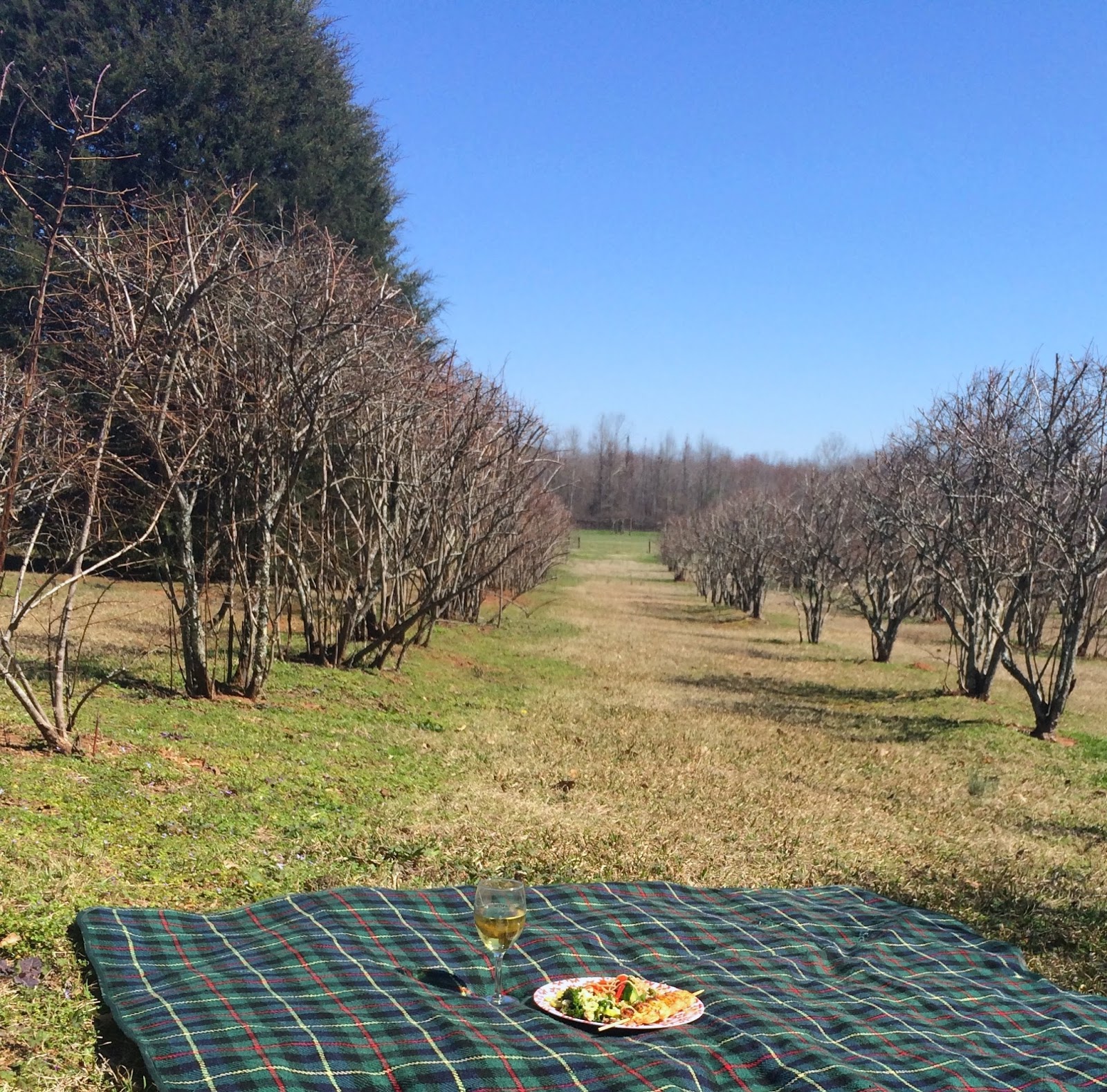 1 Cooking Chick Picnic at the Vineyard