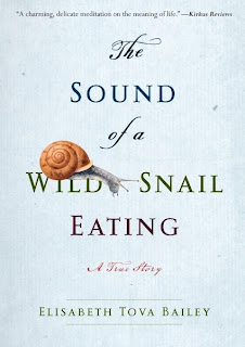 the sound of a wild snail eating the sound of a wild snail eating
