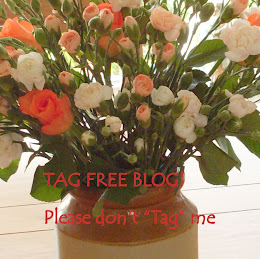 Tag Free Blog