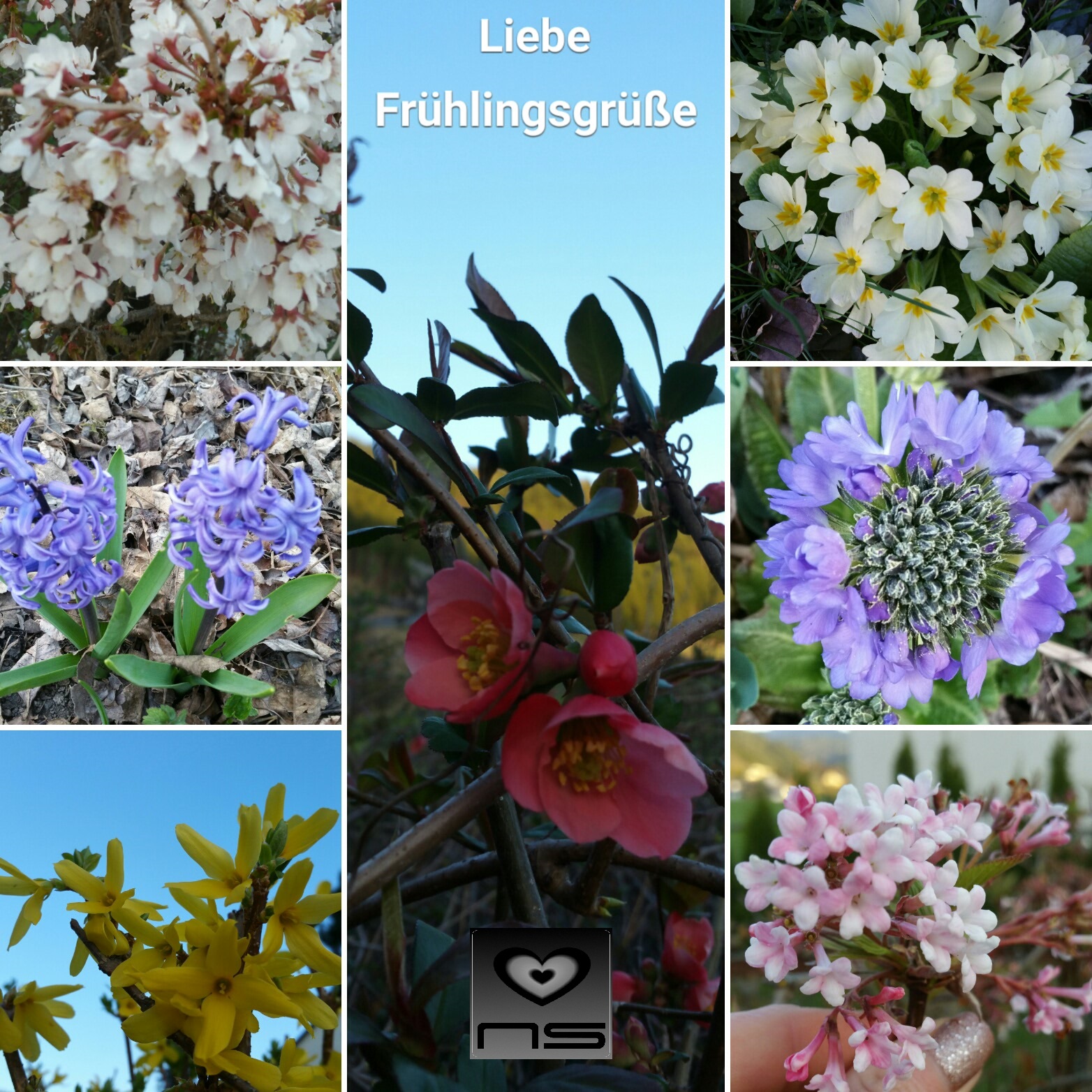 Gedichte Von Nicole Sunitsch Autorin Schonen Sonntag