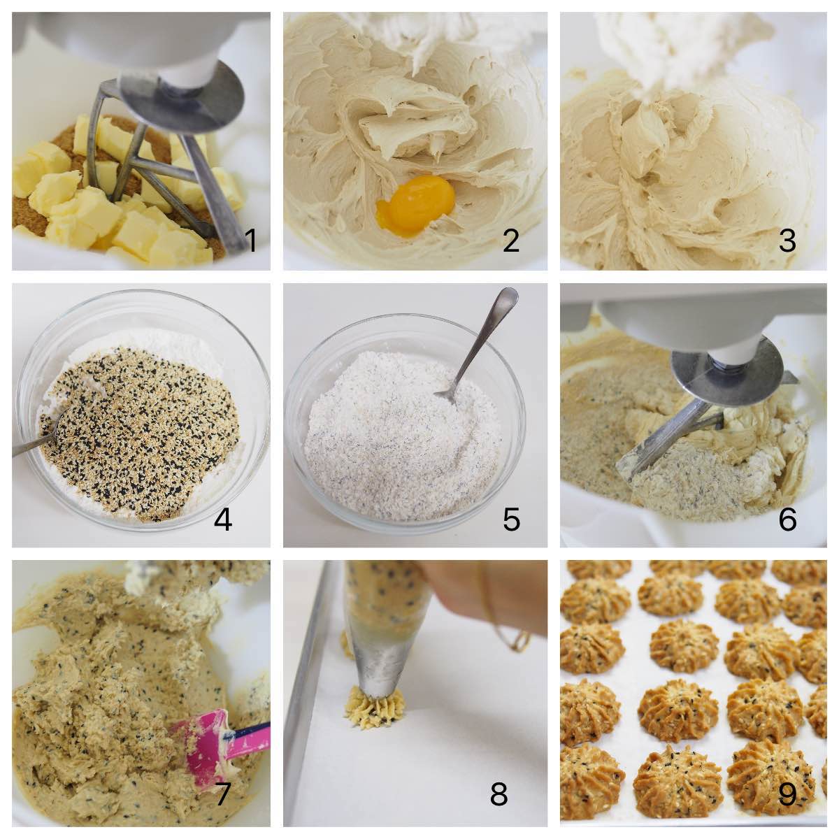 Crunchy Sesame Seed Cookies BAKE WITH PAWS